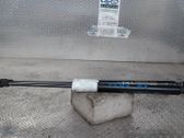 Tailgate/trunk strut/damper