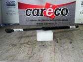 Tailgate/trunk strut/damper