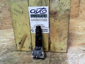 Indicator stalk