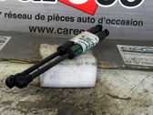 Tailgate/trunk strut/damper