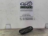 Rear coil spring