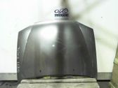Engine bonnet/hood