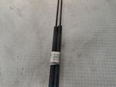 Tailgate/trunk strut/damper