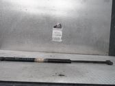 Tailgate/trunk strut/damper