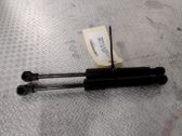 Front bonnet/hood damper/strut