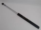 Front bonnet/hood damper/strut