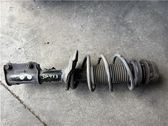 Amortiguador delantero con muelle espiral