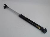 Tailgate/trunk strut/damper