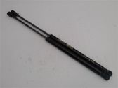 Tailgate/trunk strut/damper