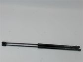 Tailgate/trunk strut/damper