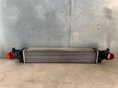 Intercooler radiator