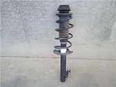 Amortiguador delantero con muelle espiral