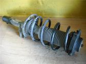 Amortiguador delantero con muelle espiral