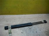Tailgate/trunk strut/damper