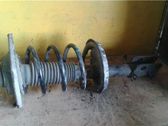 Front shock absorber with coil spring
