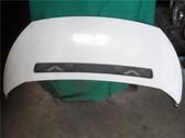 Engine bonnet/hood