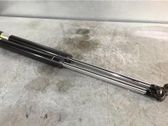 Tailgate/trunk strut/damper