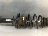 Amortiguador delantero con muelle espiral