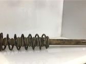 Stoßdämpfer hinten