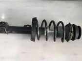 Amortiguador delantero con muelle espiral