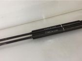 Front bonnet/hood damper/strut
