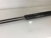 Tailgate/trunk strut/damper
