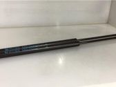 Tailgate/trunk strut/damper