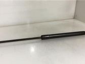 Front bonnet/hood damper/strut