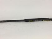 Tailgate/trunk strut/damper