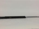 Tailgate/trunk strut/damper