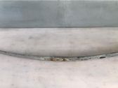 Front leaf spring