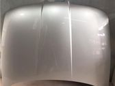 Capó/tapa del motor