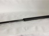 Tailgate/trunk strut/damper