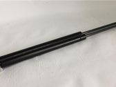 Tailgate/trunk strut/damper
