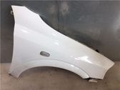 Fender