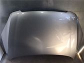 Capó/tapa del motor