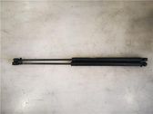 Tailgate/trunk strut/damper