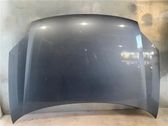 Engine bonnet/hood