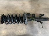 Front shock absorber with coil spring
