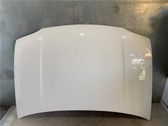 Motorhaube