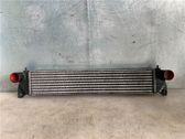 Radiador intercooler