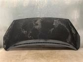 Engine bonnet/hood