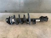 Front shock absorber with coil spring
