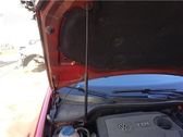 Front bonnet/hood damper/strut