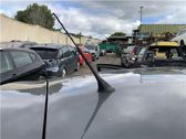 Radio antenna