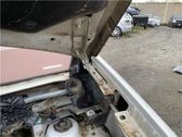 Bisagras del capó/tapa del motor