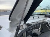 Tailgate/trunk strut/damper
