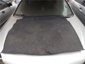 Trunk/boot mat liner