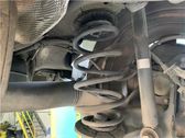 Front coil spring