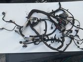 Engine installation wiring loom